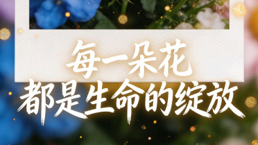 10个字名言警句精选，优美段落100字摘抄