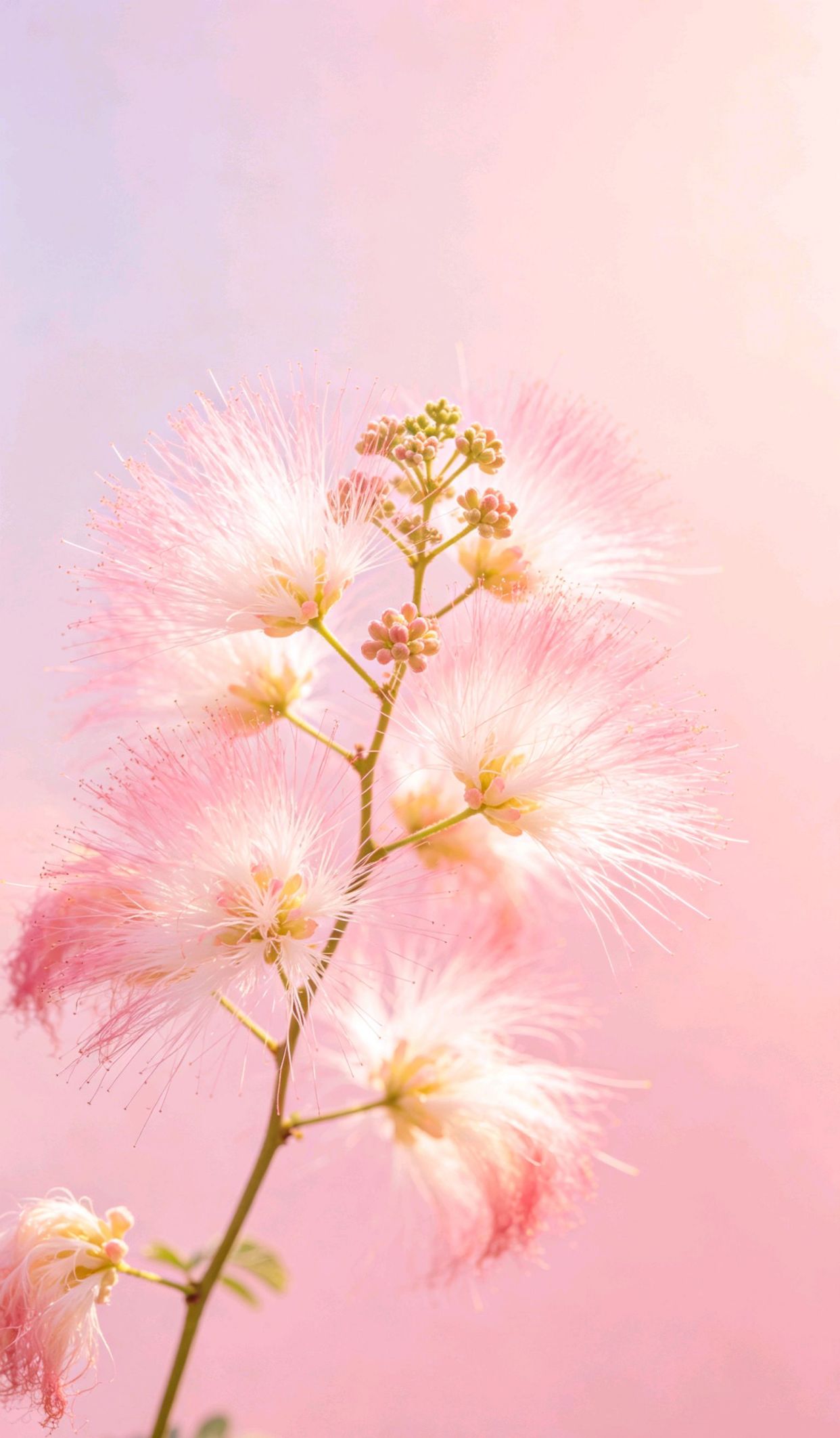 女教师的座右铭简短，早安格局大心态好的句子