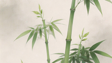 今日小美好,幸福感下句，女人高雅温柔的句子