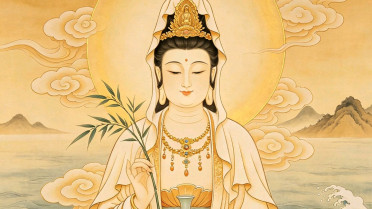 一日一句高级文案，短视频文案