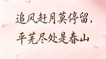 好运的金句，2026女人招财微信签名
